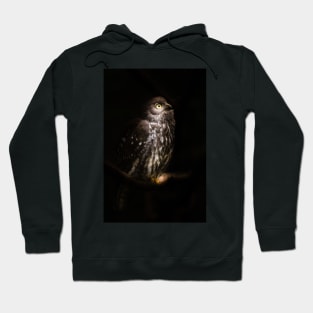 Barking Owl Hoodie